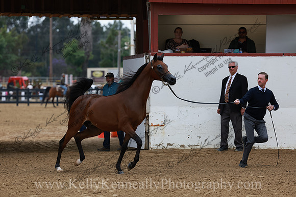 R2CH23_Thurs_0932