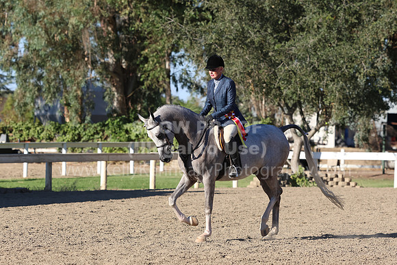 DAHA_FF22_3523