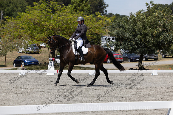FFDressage23-5235