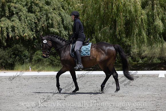 FFDressage23-2825