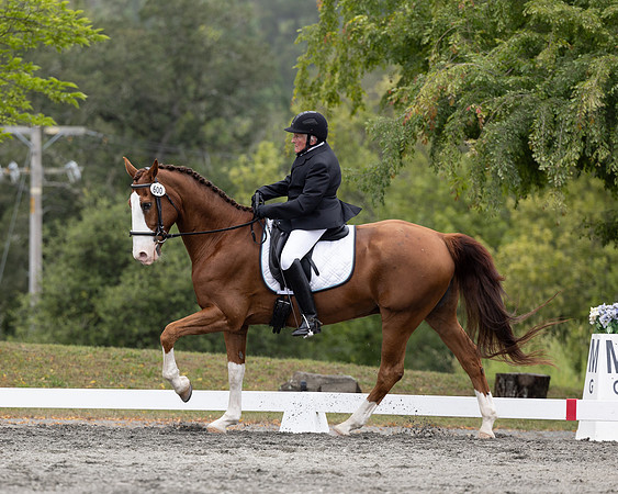 FFDressage23-1839