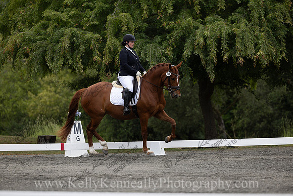 FFDressage23-1330