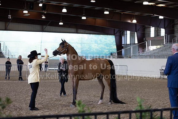 AHANC23_Wed_2746