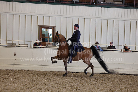 AHANC23_Wed_2013