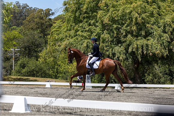 FFDressage23-3994