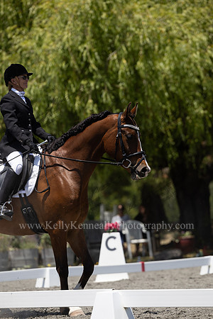 FFDressage23-00231