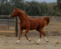 DocFall26_4457