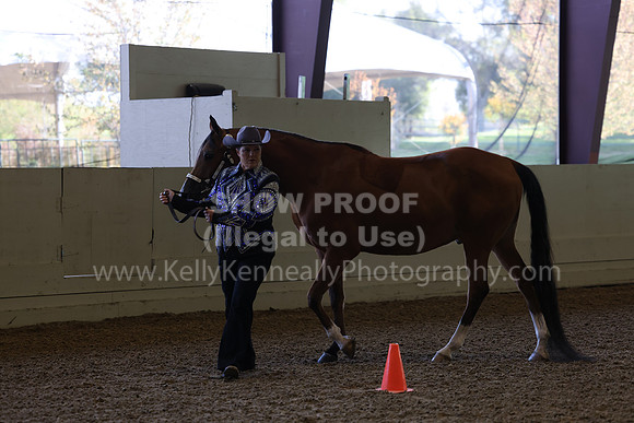 AHANC23_Wed_0030