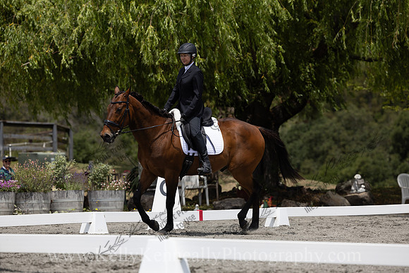 FFDressage23-2532