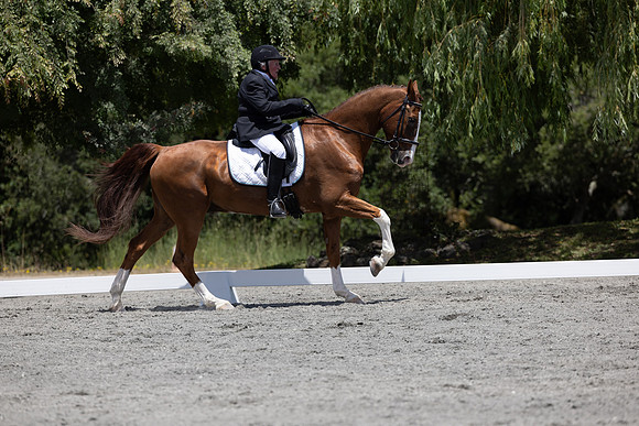 FFDressage23-3397
