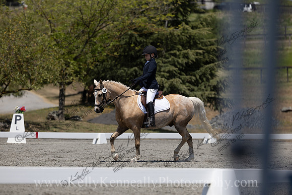 FFDressage23-00285