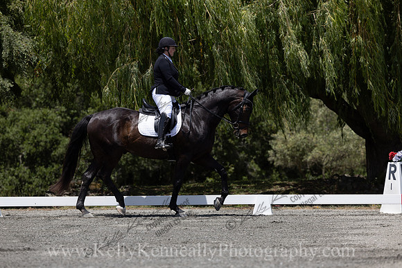 FFDressage23-3835