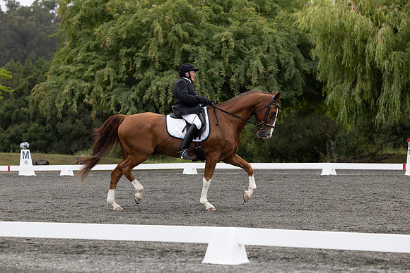FFDressage23-00090