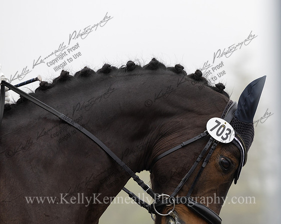 FFDressage23-0266