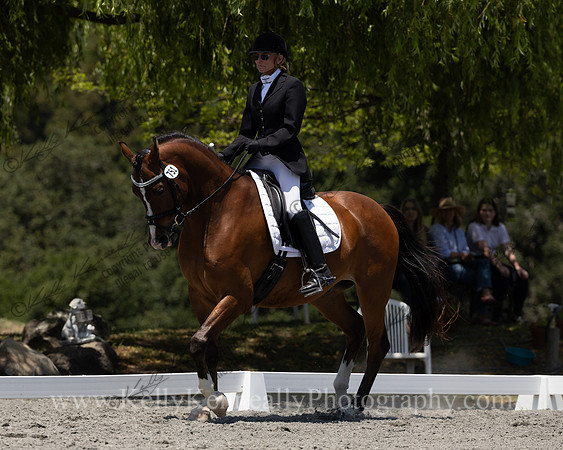 FFDressage23-00219