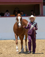 Class 24 - Adult Showmanship