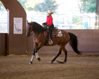 Reining