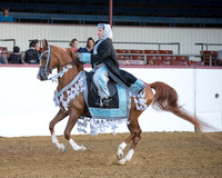 Class 128 HA Mounted Costume - Open