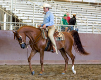 Class 72 - HA/AA Western Jr Horse