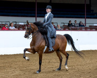 Class 267 Saddle Seat Eq - JTR 18 & Under