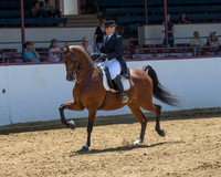 Class 107 HA English Show Hack - AATR 19 & Over