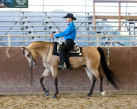Class 84 - HA/AA Western Pl Championship