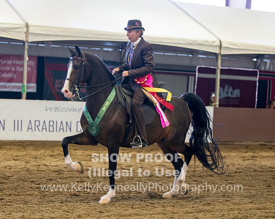 R316_WedPM_3363 copy