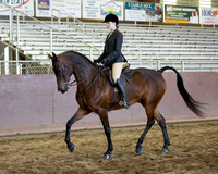Class 35 - Arabian Hunter Pl JOTR 14-18