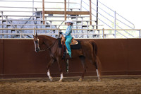 Class 271 A/HA/AA Walk-Jog Western Seat Eq - Riders 10 & Under