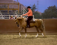 Class 310 HA Western Pleasure - AATR Choice/Elite