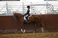 Class 296 A/HA/AA Walk-Trot Hunter Pleasure - 10 & Under