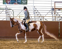 Class 59 HA Hunter Pleasure - JTR Select