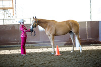 Class 91 - Youth Showmanship 11 - 18