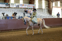 Class 260 HA Ladies Side Saddle - ATR