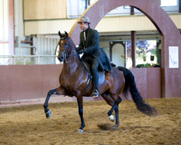 Class 103 HA English Pleasure - Jr Horse 5 & Under