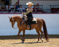 Class 246 HA Western Pl - AATR Choice/Elite
