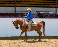 Class 314 Arabian Western Pl - Jr Horse 5 & Under