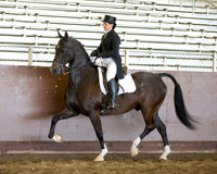 Class 12 - HA/AA English Show Hack Open