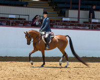 Class 313 Arabian Hunter Pl - AATR Select