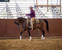 Class 122 Arabian Western Pleasure - Geldings