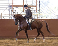 Class 117 HA Hunter Pleasure - Open