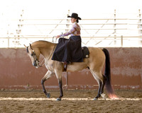 Class 4 - HA/AA Ladies Side Saddle Open