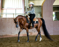 Class 8 - Arabian Western Pl AAOTR 19-35