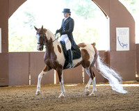 Class 5 HA English Show Hack - Open