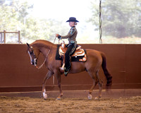 Class 50 Arabian Western Pleasure - AAOTR 19-49 Yrs Old