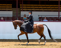 Class 276 HA Ladies Side Saddle