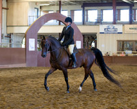 Class 108 HA Hunter Pleasure - JOTR 13 & Under