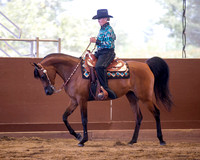 Class 48 Arabian Western Pleasure - Ladies to Ride