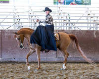 Class 54 - Arabian Ladies Side Saddle Open