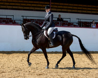 Class 71 HA Hunter Pl - Mares & Geldings
